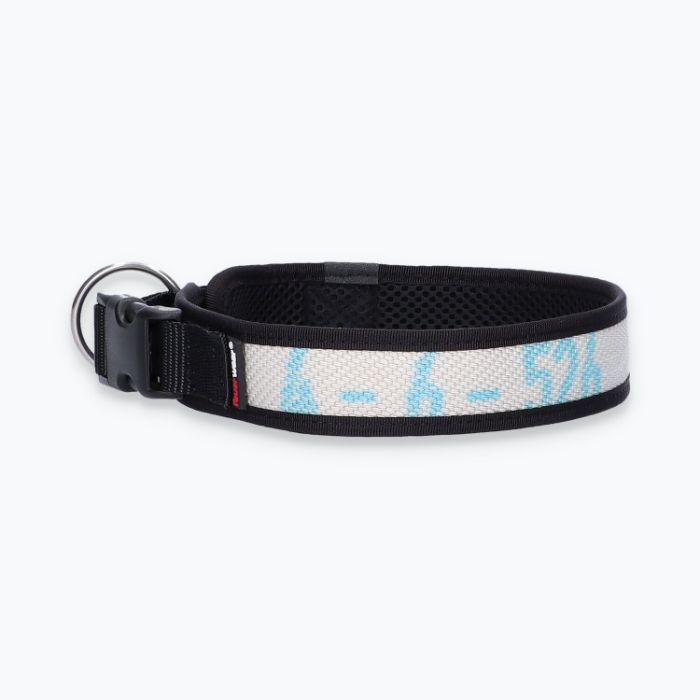 Hunde-Halsband Timmy - ht50200004